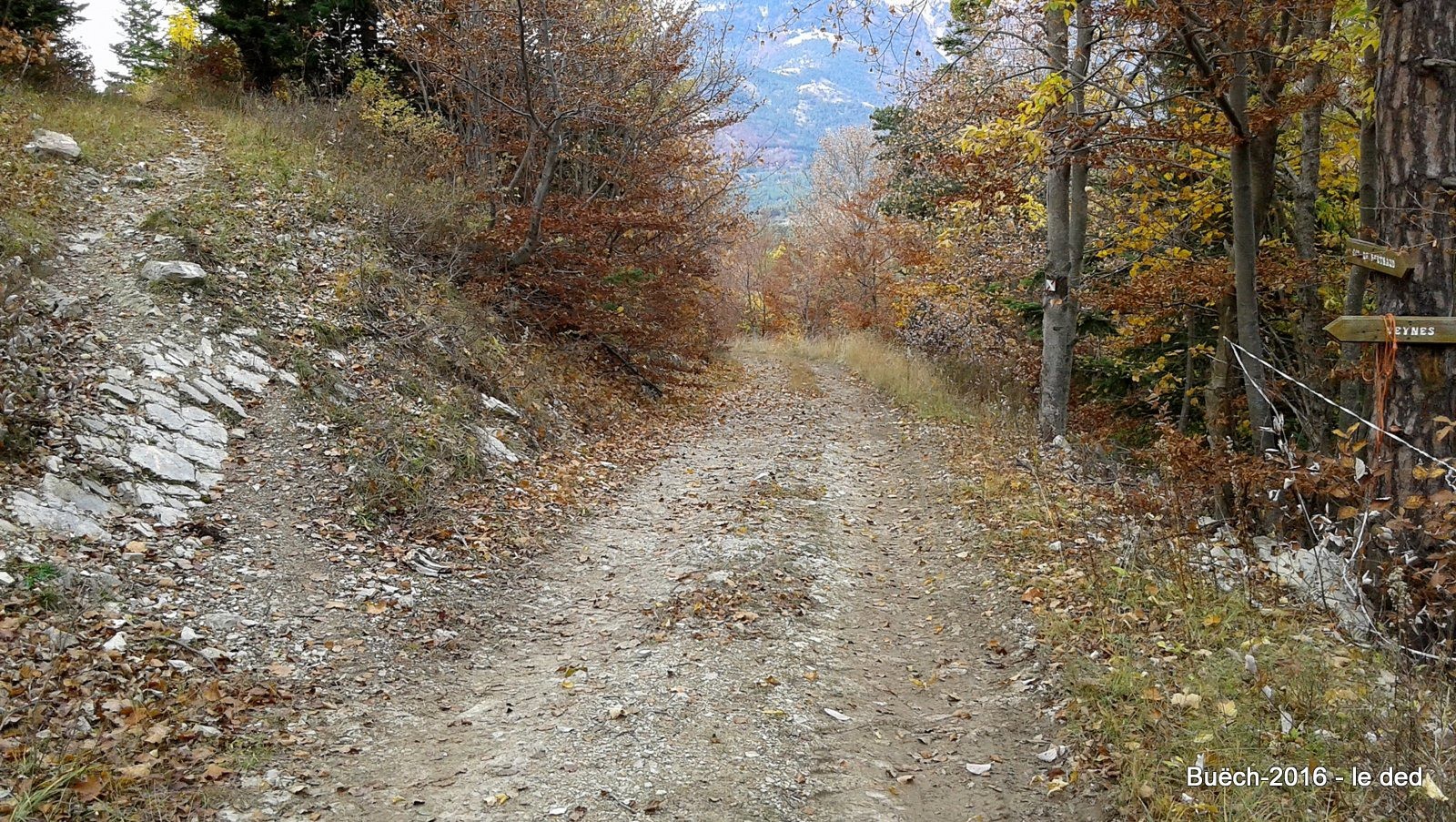 ne pas louper l'entrée du sentier à gauche