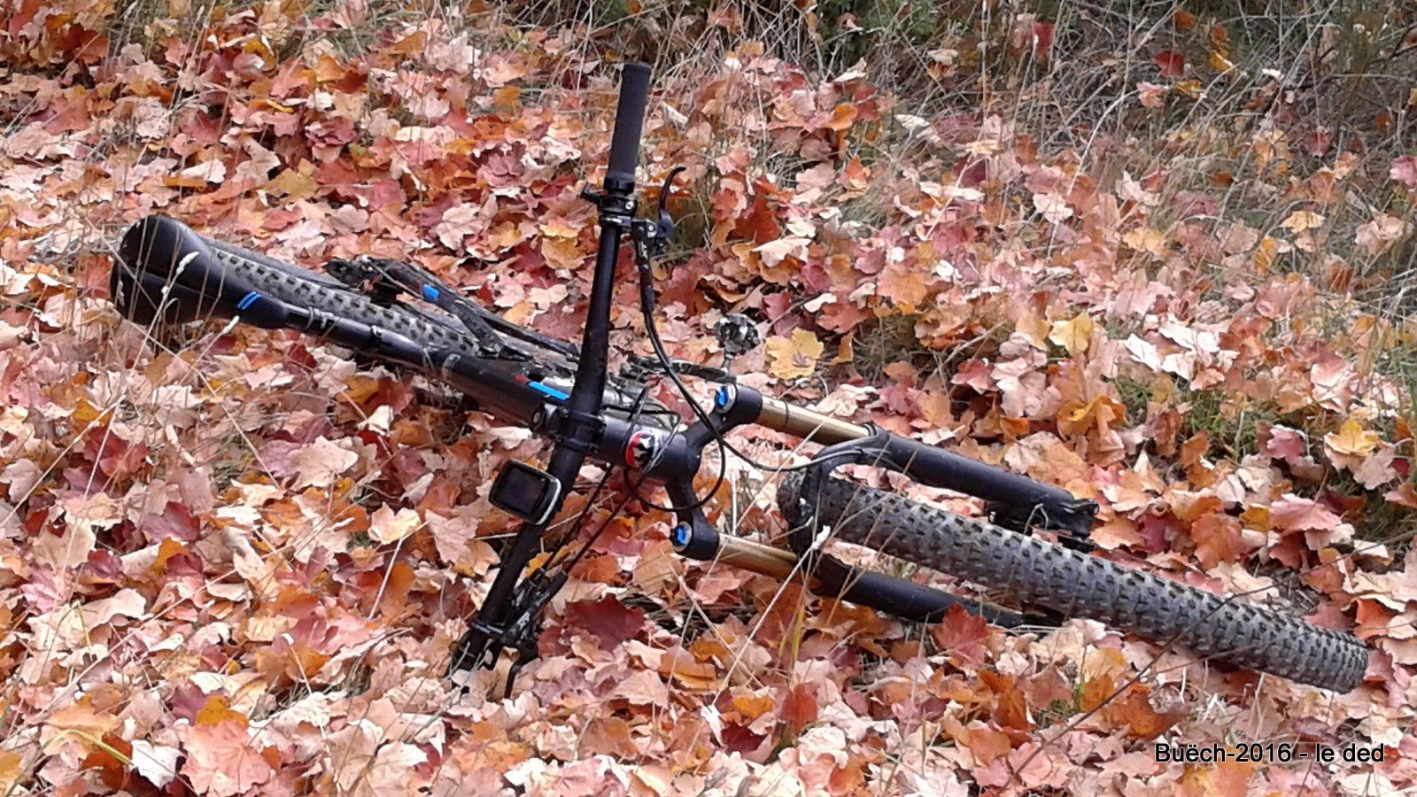 le bike à la feuille d'Érable dans son élément