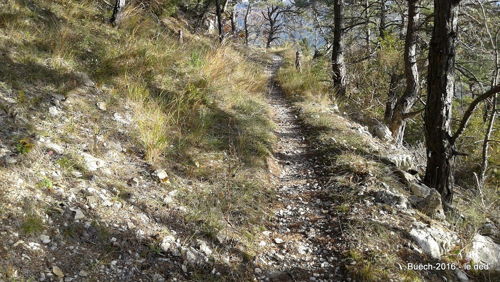 1er sentier de la matinée, ça démarre nickel