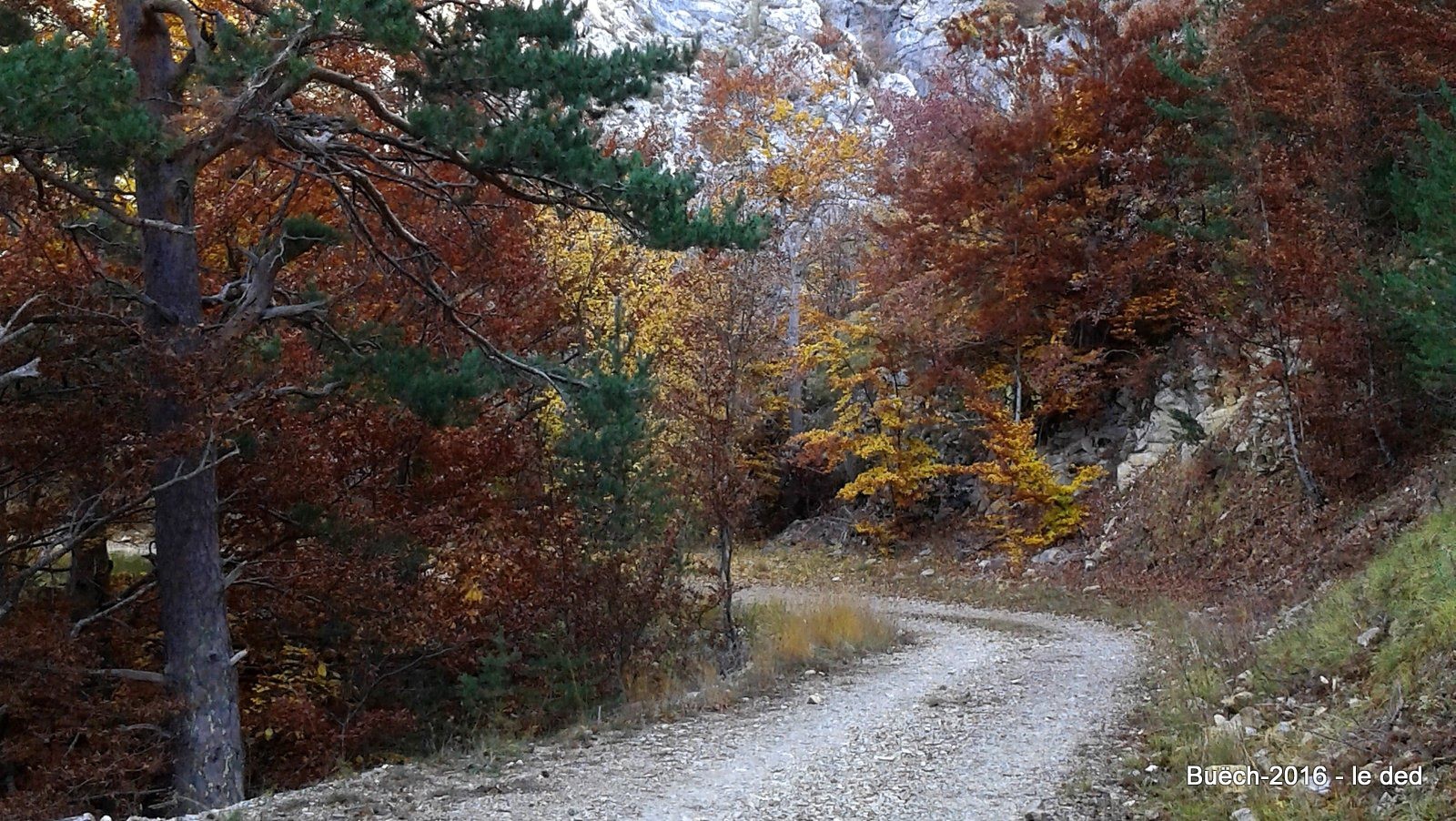 palette de couleurs