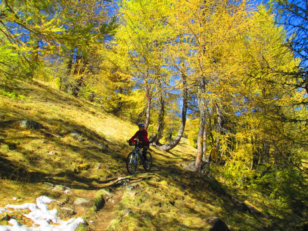 Descente sur Allos