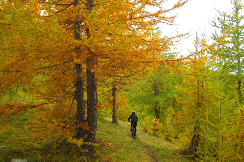 Descente sur Peyresq