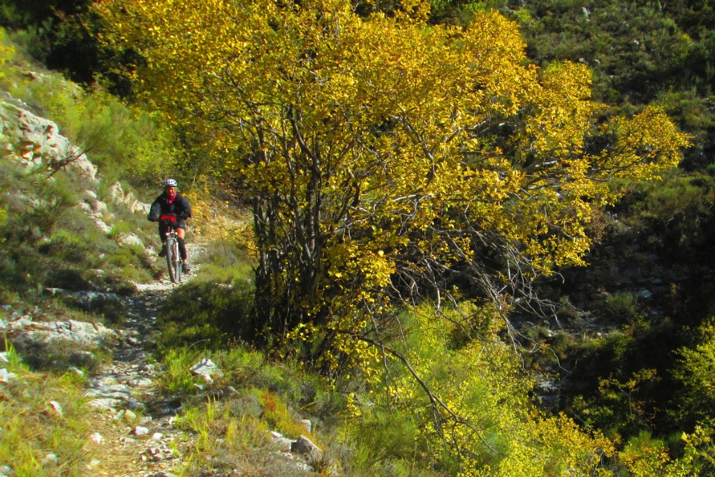 #18 Descente sur Thorame Descente sur Thorame