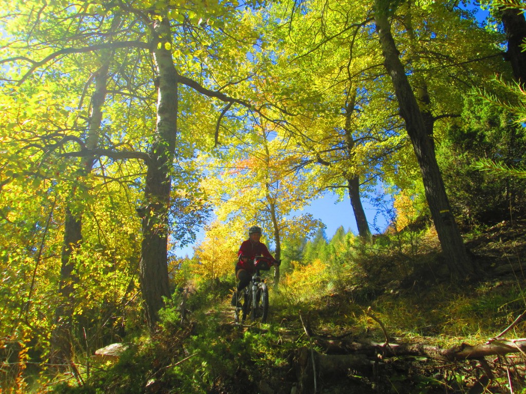 Descente sur Allos