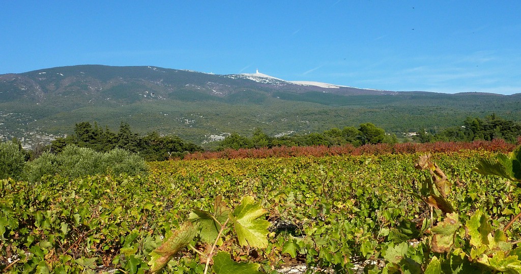 Un Ventoux automnal