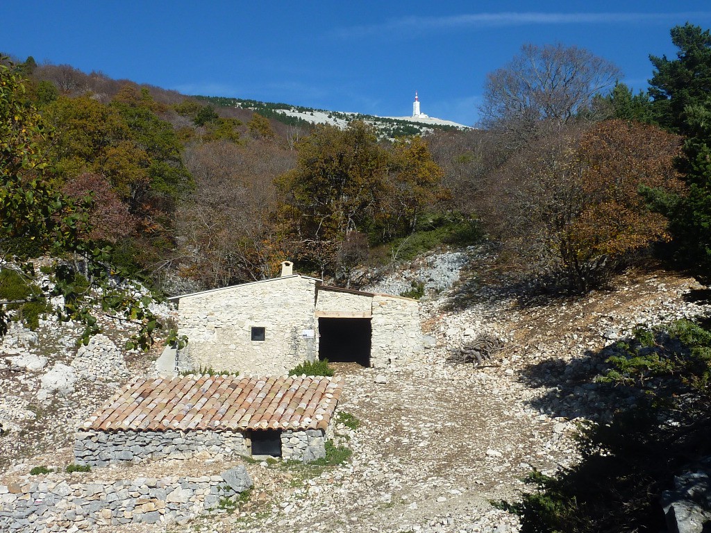 #12 Jas du Toumple déserté par les moutons Jas du Toumple déserté par les moutons