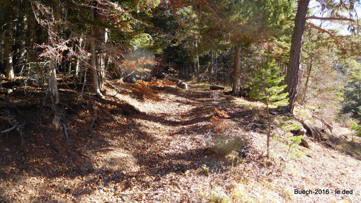 petit sentier ensoleillé du Buëch