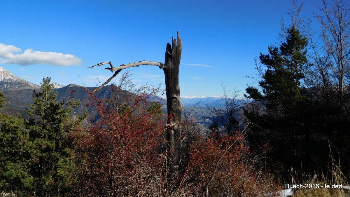 vue sur l'Embrunais