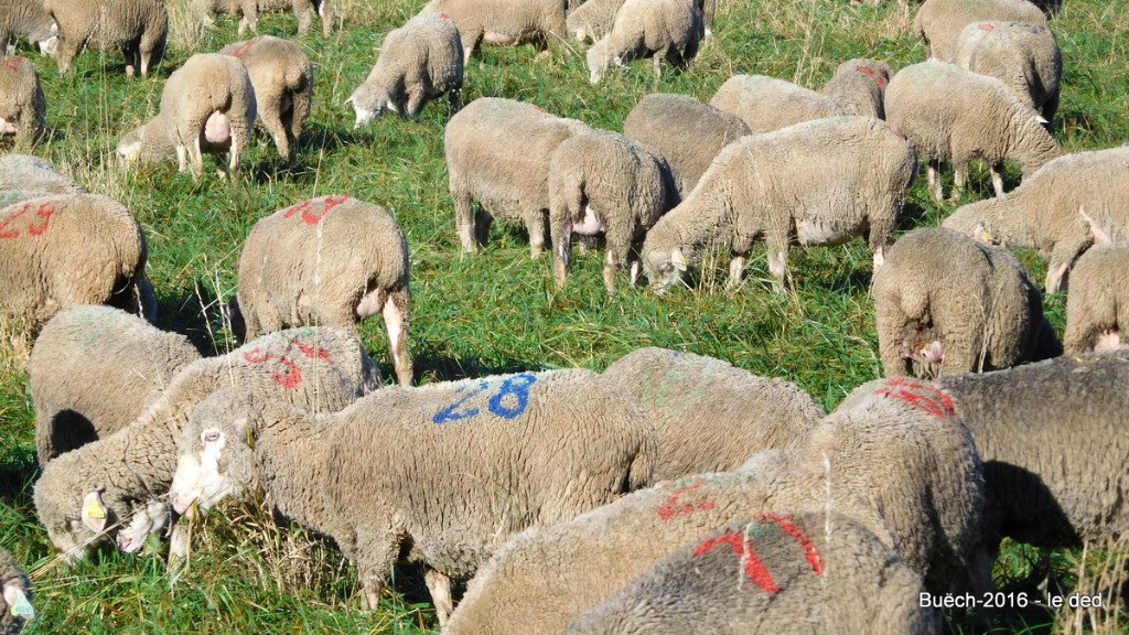 ils sont numérotés, prêts pour le loto de la Paroisse