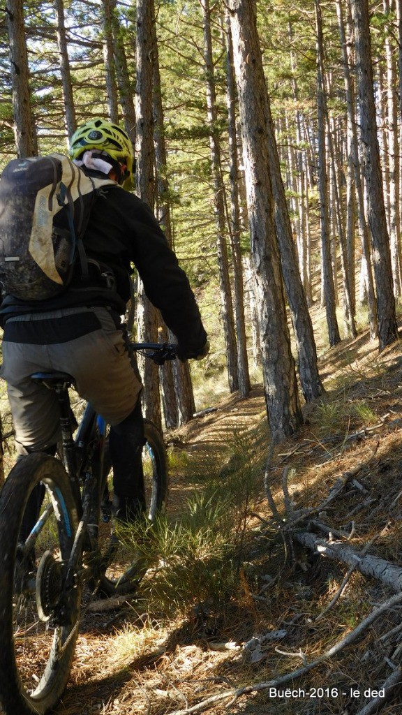 #18 en forêt en forêt