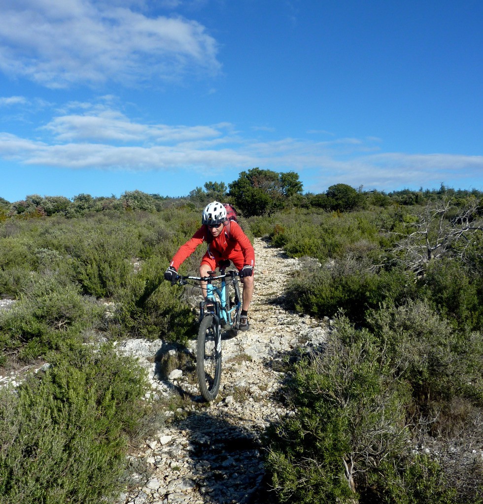 #8 Caminade "on the rocks" Caminade \