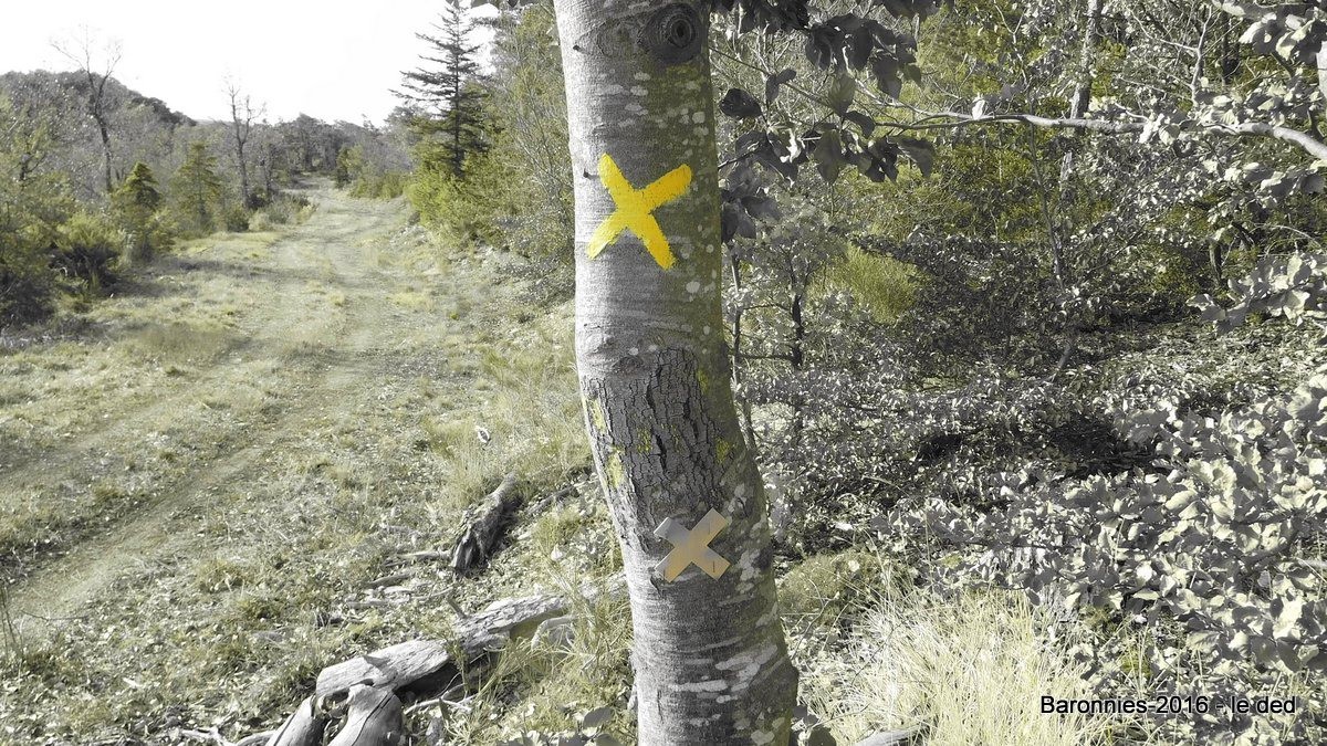 #12 puisqu puisqu'on te dit que ce n'est pas par là !