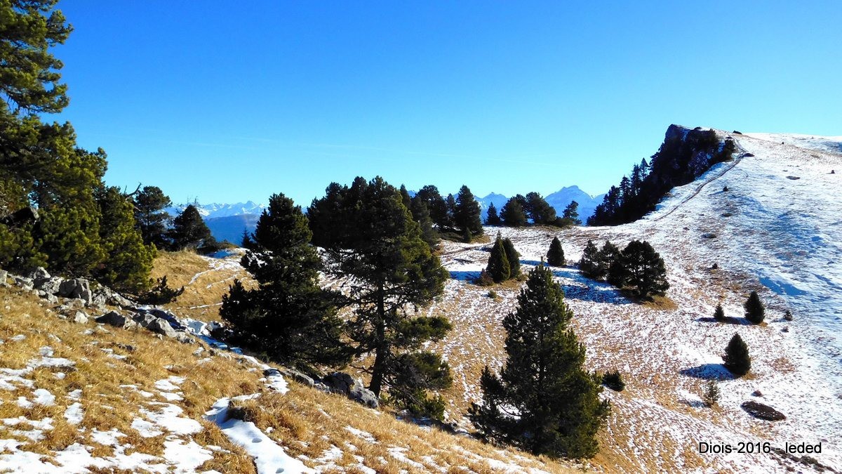 sentier enneigé