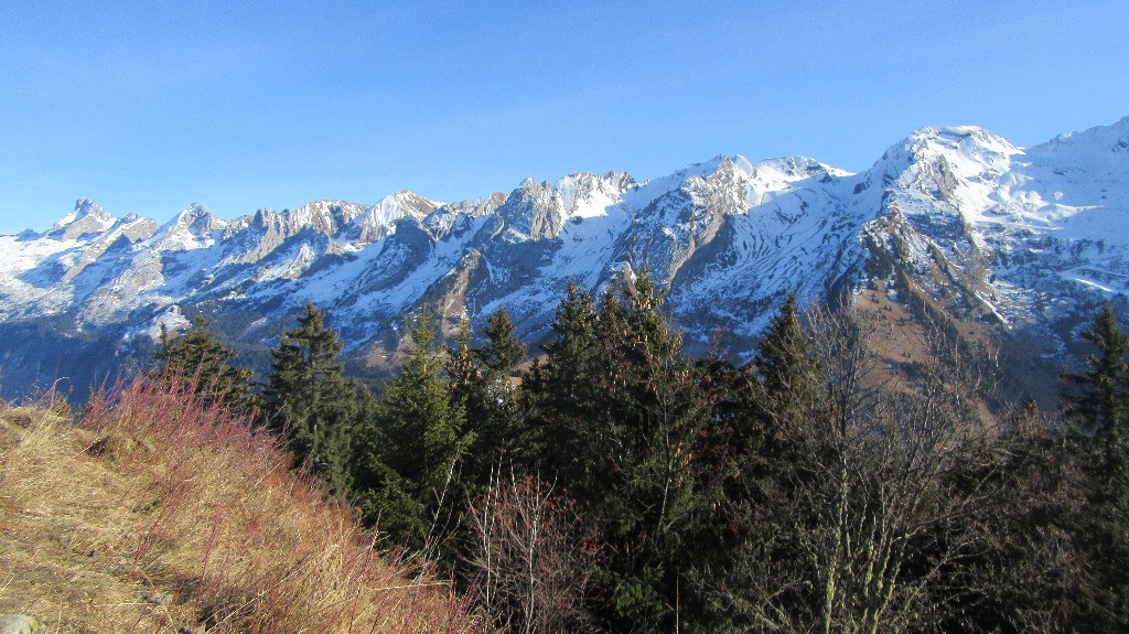 Chaîne des Aravis depuis la Tête