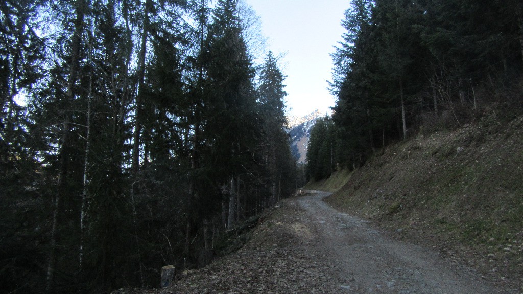 #1 Piste de montée vers la retenue d Piste de montée vers la retenue d'eau du Lachat
