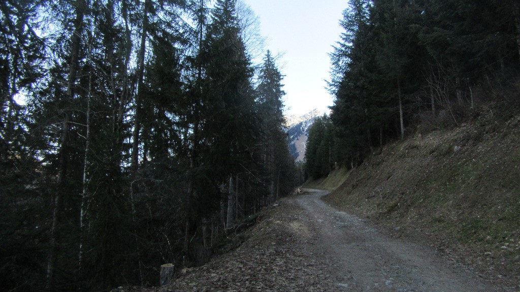 Piste de montée vers la retenue d'eau du Lachat