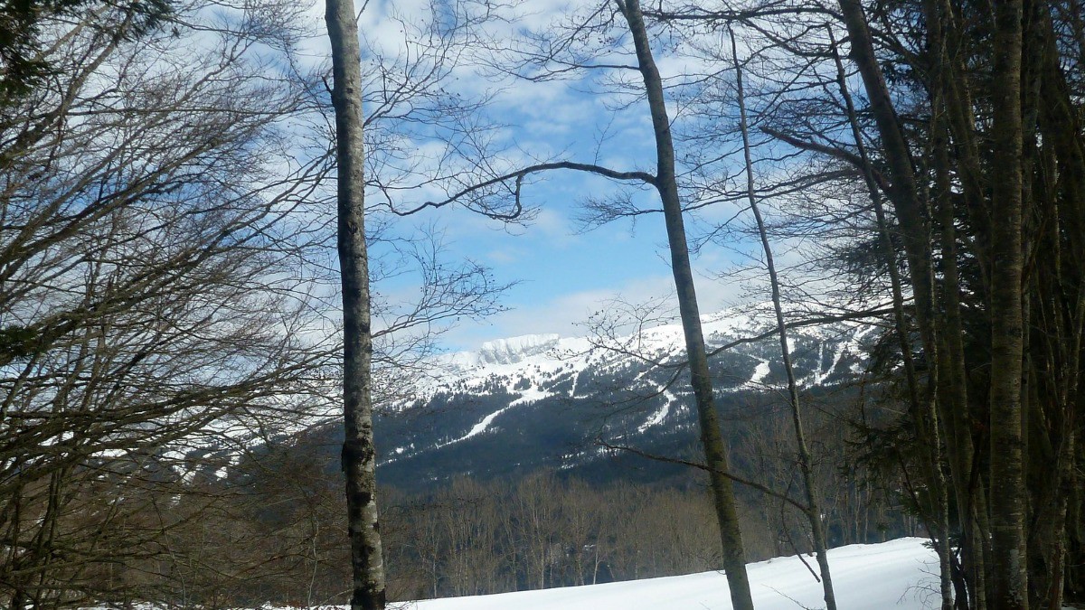 #8 point de vue point de vue