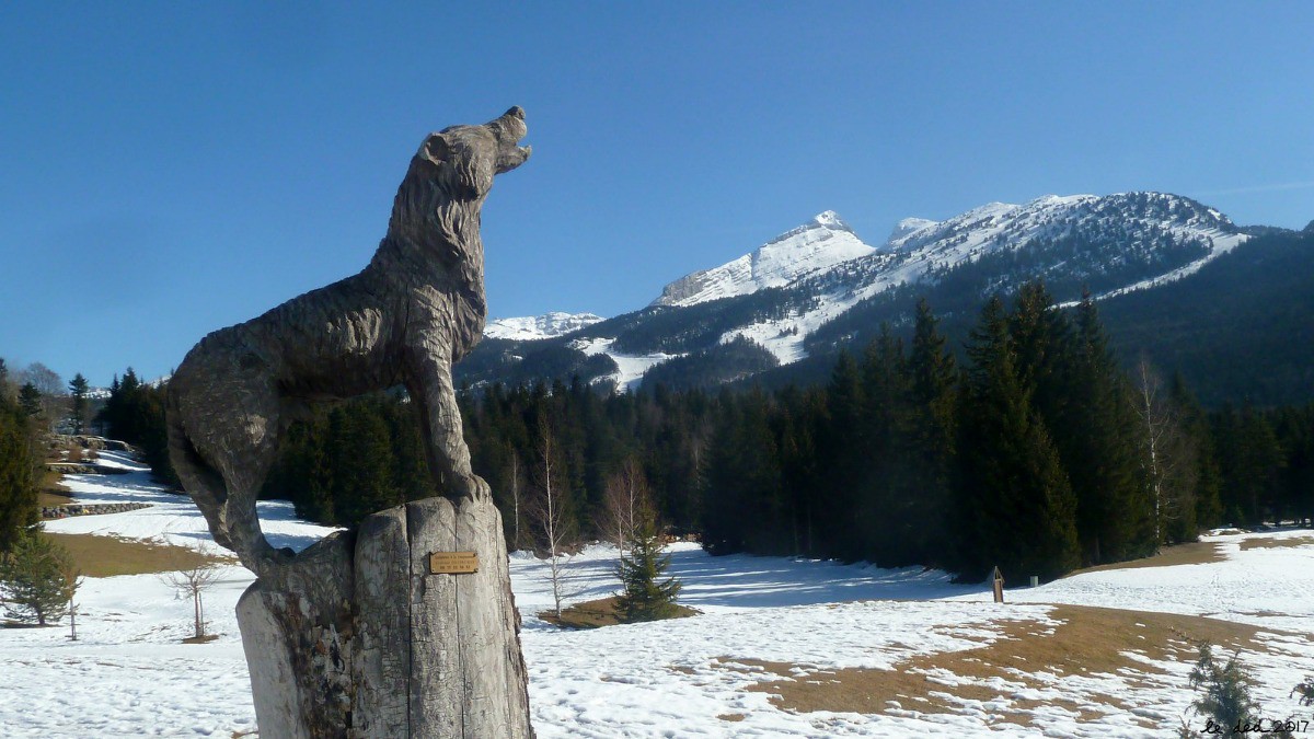 c'est un mâle ! (sculpté à la tronçonneuse)