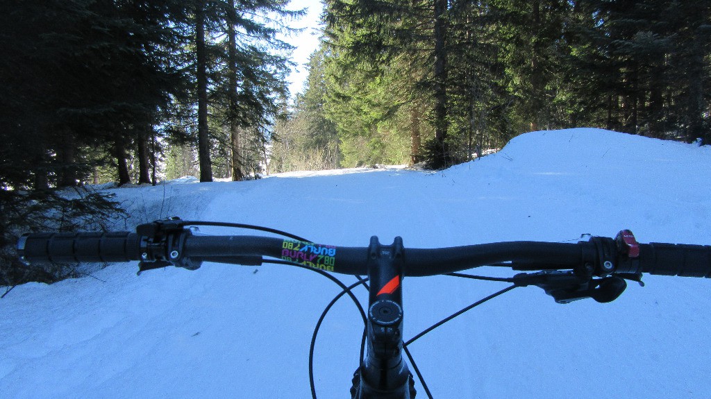 Dans les bois depuis chez Paccot