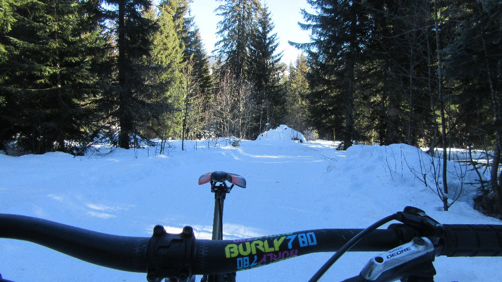 Dans les bois depuis chez Paccot