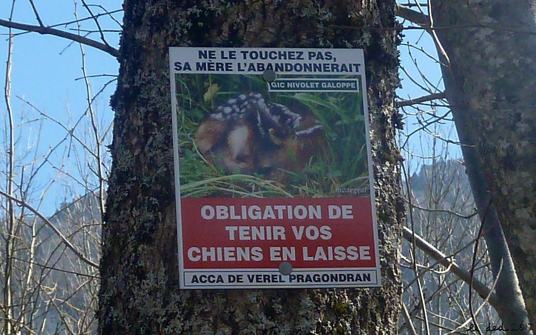 #4 Ne le touchez pas, on se chargera de le dégommer plus tard !! Ne le touchez pas, on se chargera de le dégommer plus tard !!