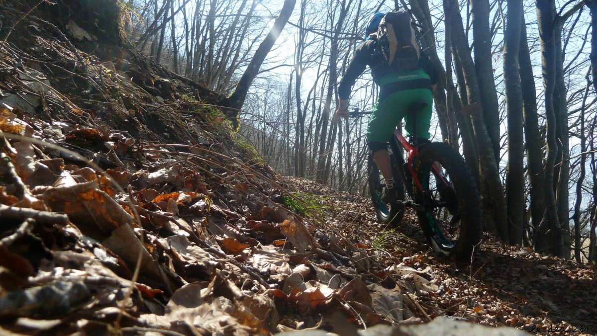 #7 ça roule ça roule