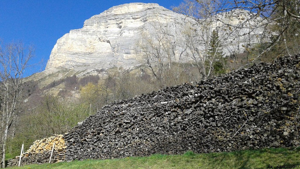 #1 quand homme blanc couper du bois ... quand homme blanc couper du bois ...