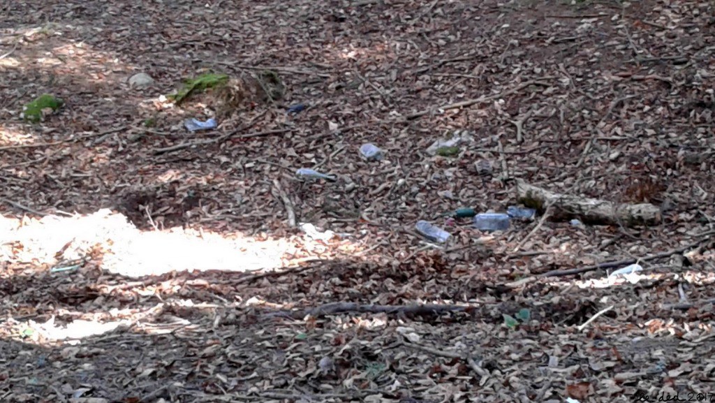 #14 Chartreuse Verte. 10 bouteilles en plastique au m² ! Chartreuse Verte. 10 bouteilles en plastique au m² !