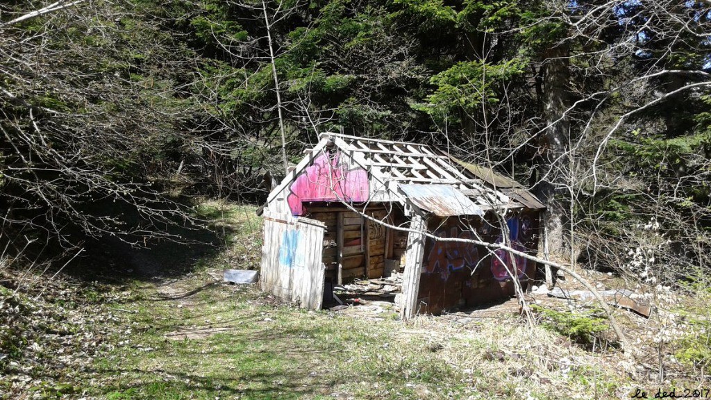 #12 Chartreuse Verte Chartreuse Verte