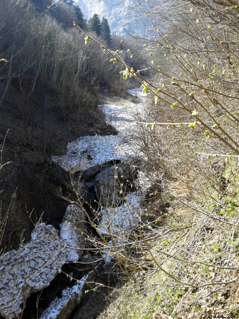 #9 ravine "déneigée" ravine \