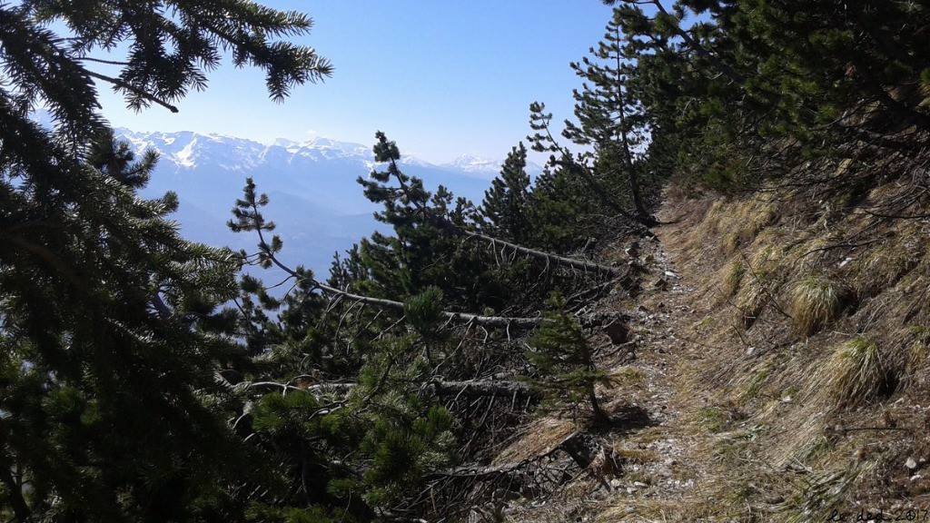 #6 Sentier qui continue au pied de la falaise Sentier qui continue au pied de la falaise