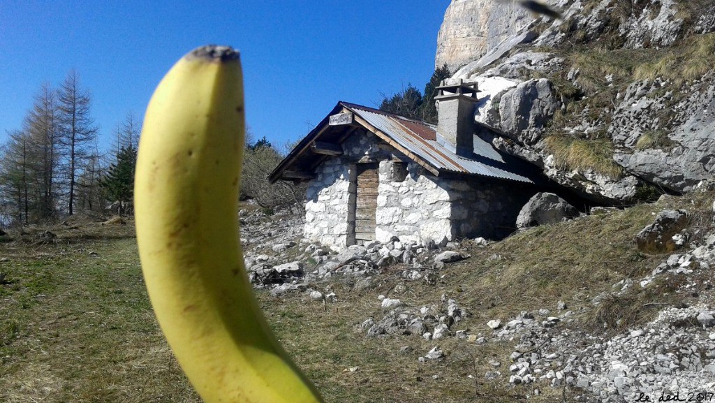 #5 cabane du Berger, j cabane du Berger, j'en ai la banane