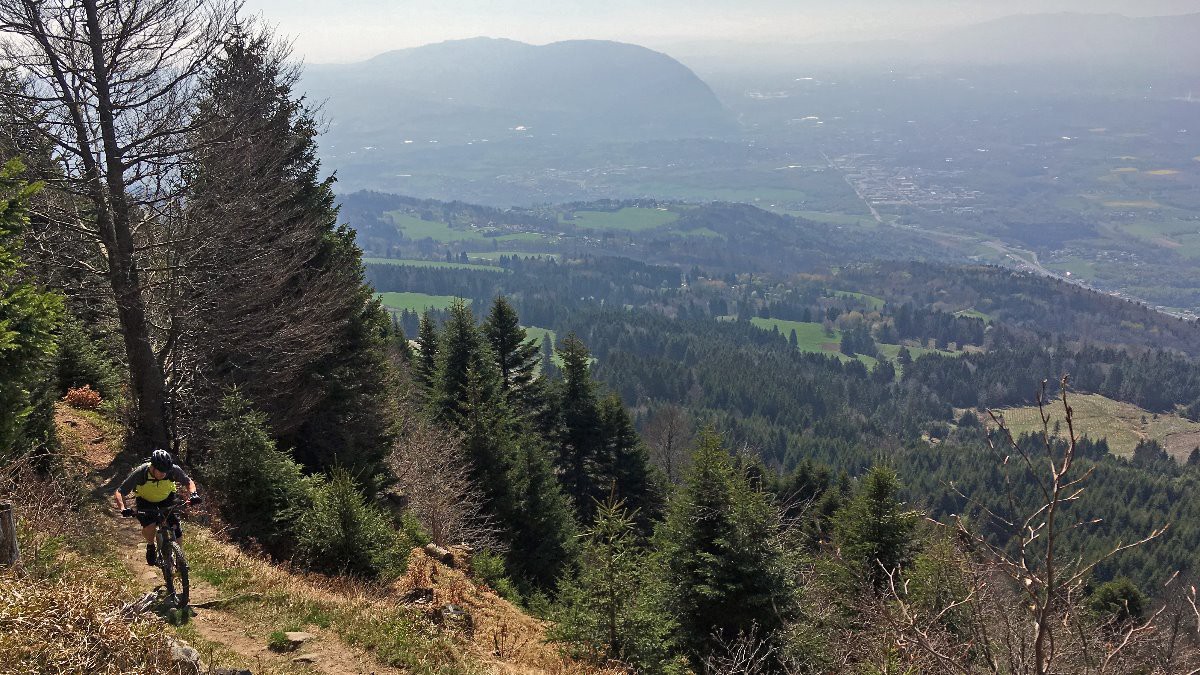 Fin du sentier Taille de la Marquise