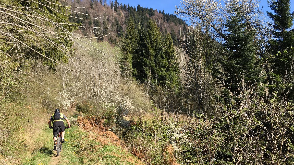 Liaison vers la descente de Cheumieux