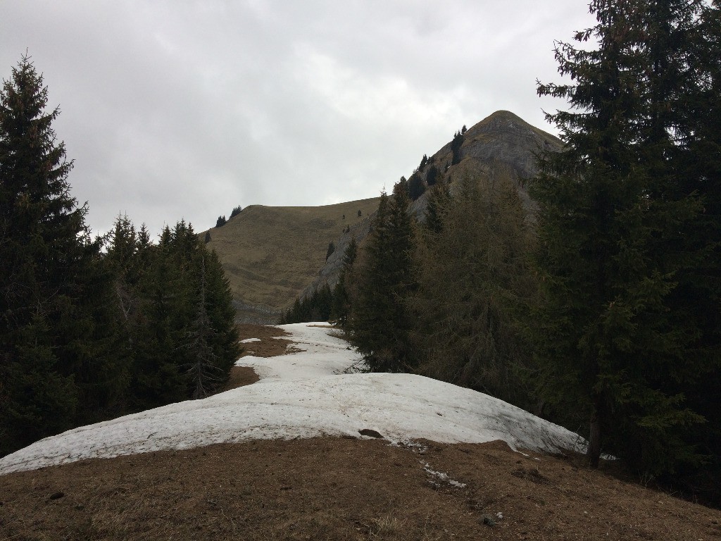 #9 la suite du col la suite du col