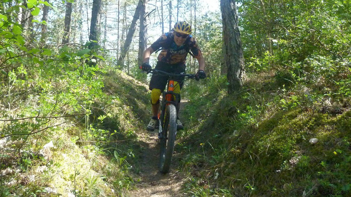 #7 Alain Alain