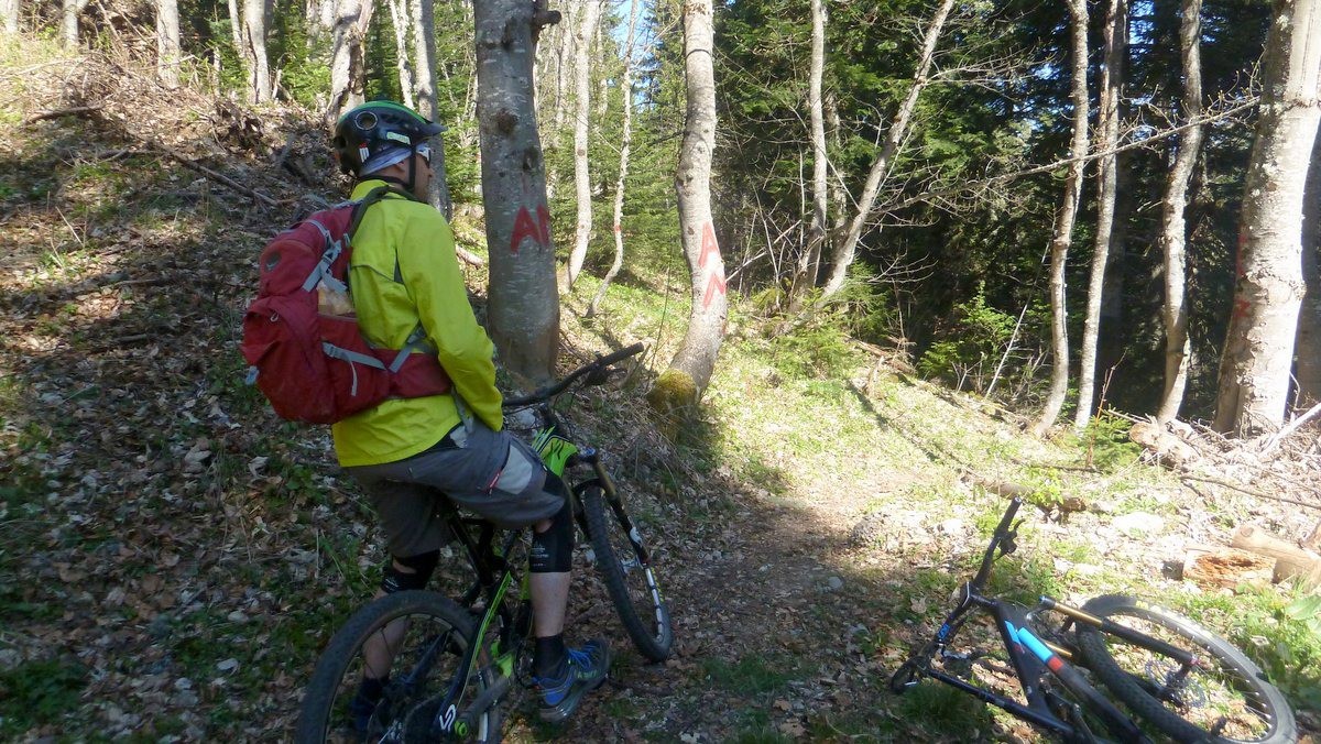 #1 départ de la Chartreuse Verte départ de la Chartreuse Verte