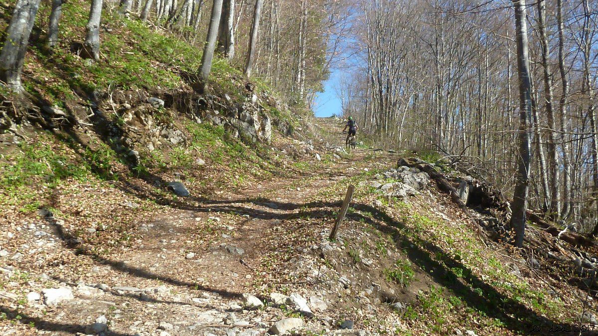 #1 piste juste après le col du Frêne piste juste après le col du Frêne