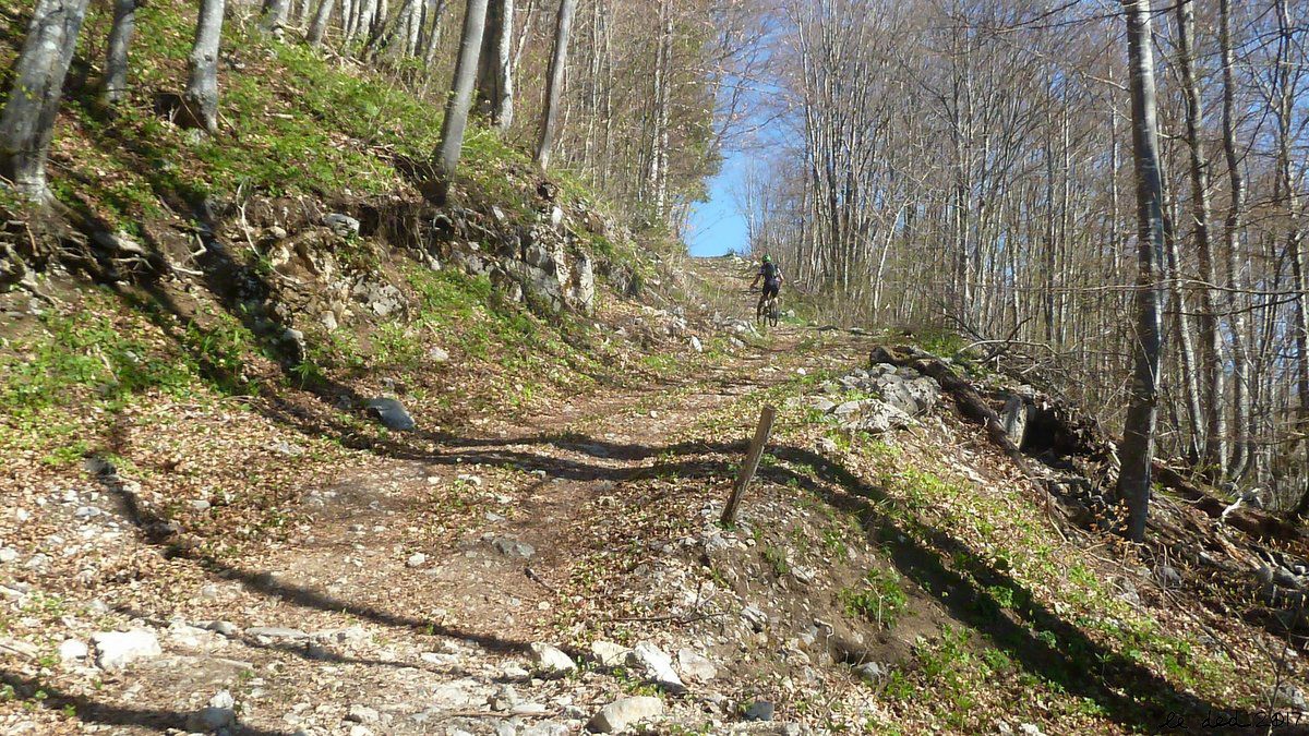 piste juste après le col du Frêne