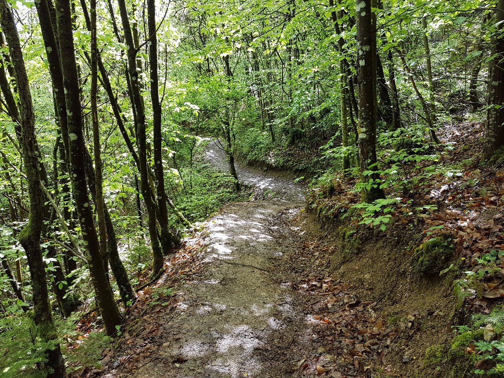 #3 sentier La Combaz > Chez Vavin. sentier La Combaz > Chez Vavin.
