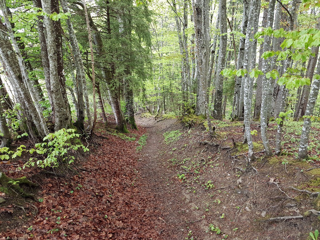 Sentier juste après le chemin de la Croix.