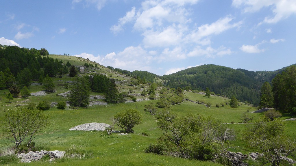 #3 Magnifique Magnifique