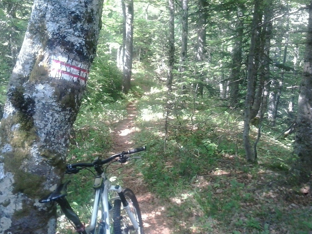 Montée en sentier qui roule