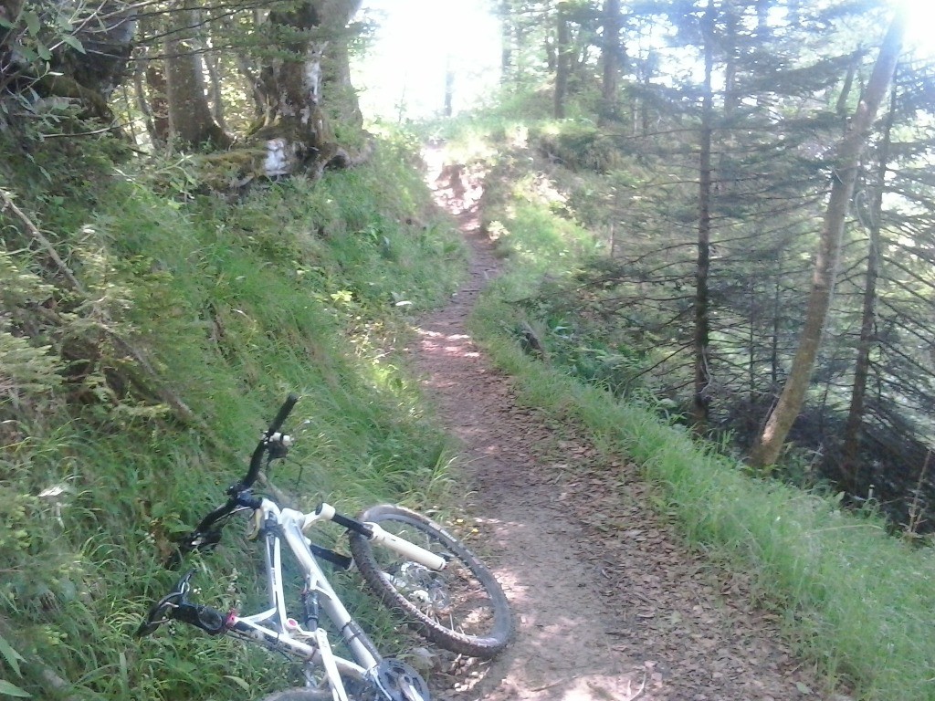 Dans la descente des Aures