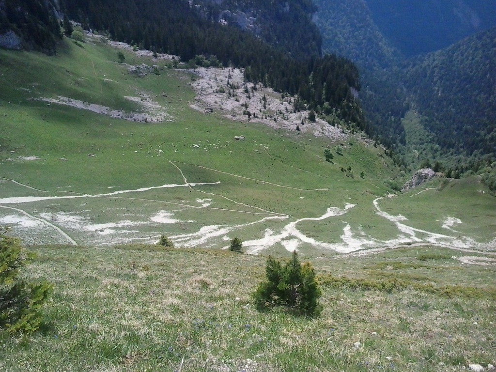 Sentier sous le col de Bellefont