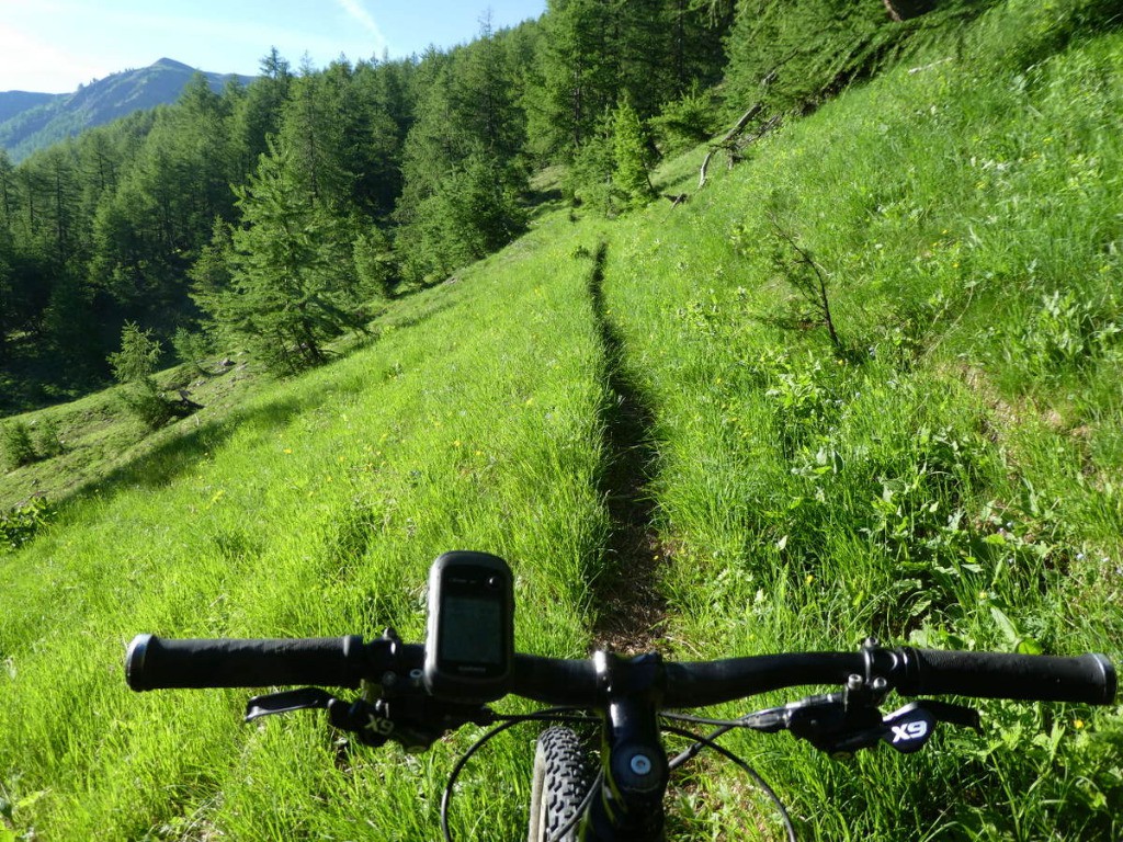 #4 Magnifique sentier un peu avant la Cabane de Gimette Magnifique sentier un peu avant la Cabane de Gimette