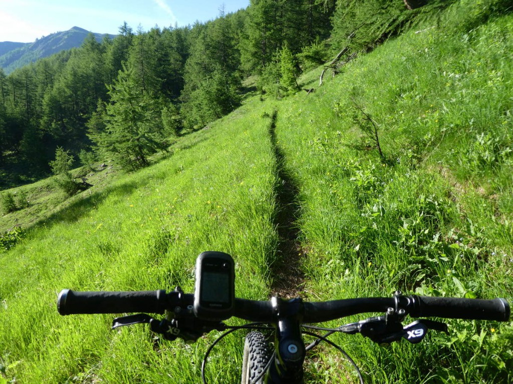 Magnifique sentier un peu avant la Cabane de Gimette