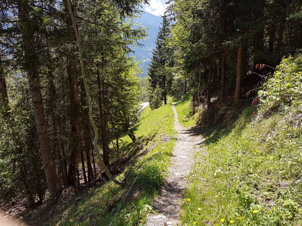Sentier : Chemin de la Fontanette.