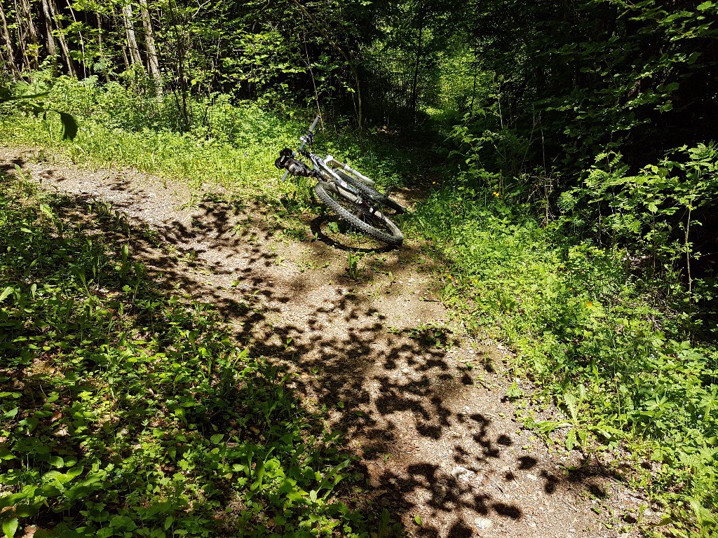 Belle traversée pour rejoindre le sentier du Val Montjoie. Ne pas grimper sur la gauche, filer tout droit.