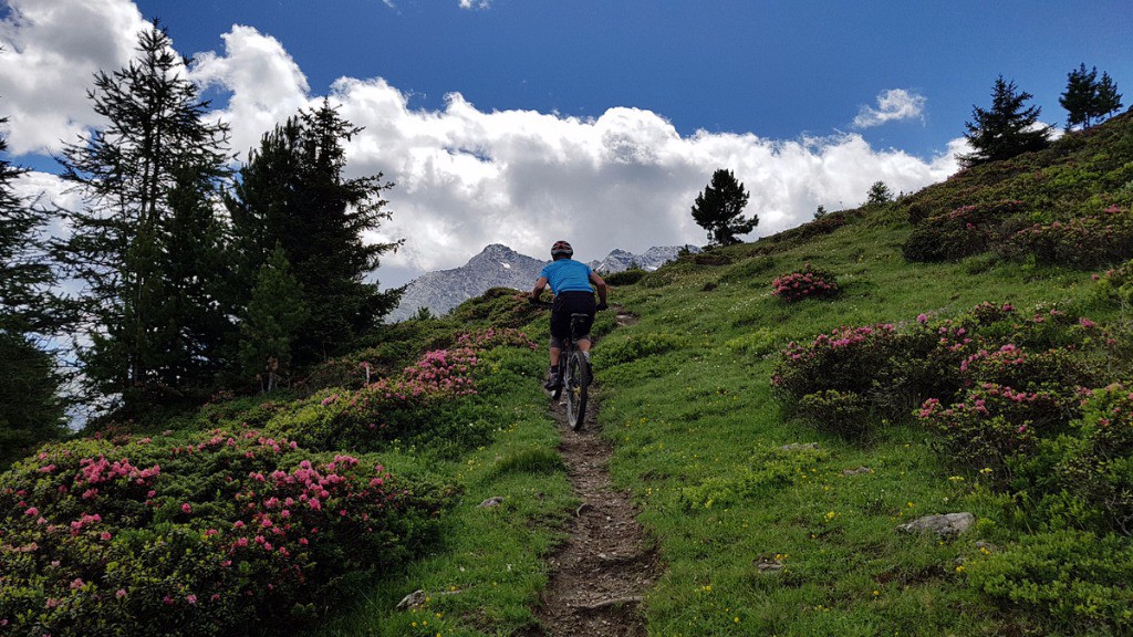 Ca grimpe dans le rhodo